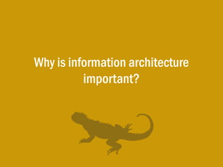 So, what is information architecture?
 