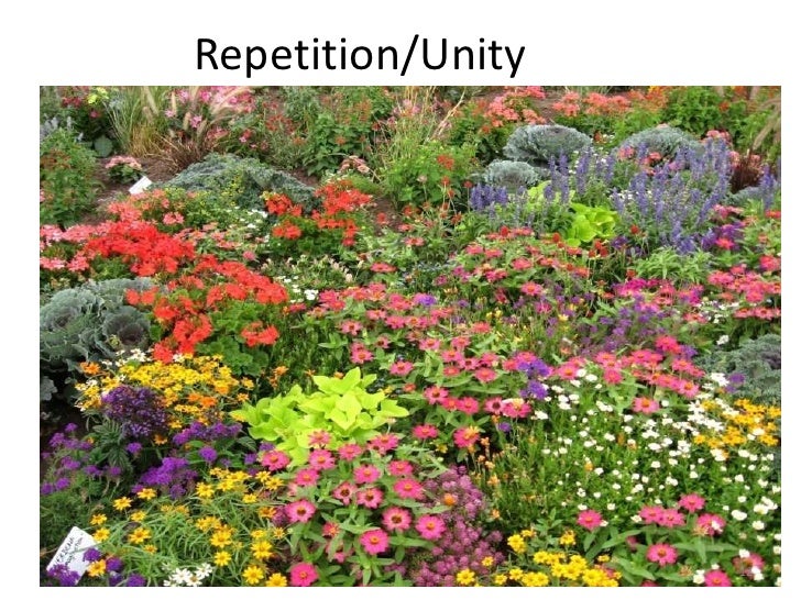 Designing annual flower bed 6 19-2010