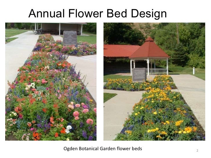Designing annual flower bed 6 19-2010 on Annual Flower Bed Designs
 id=43030