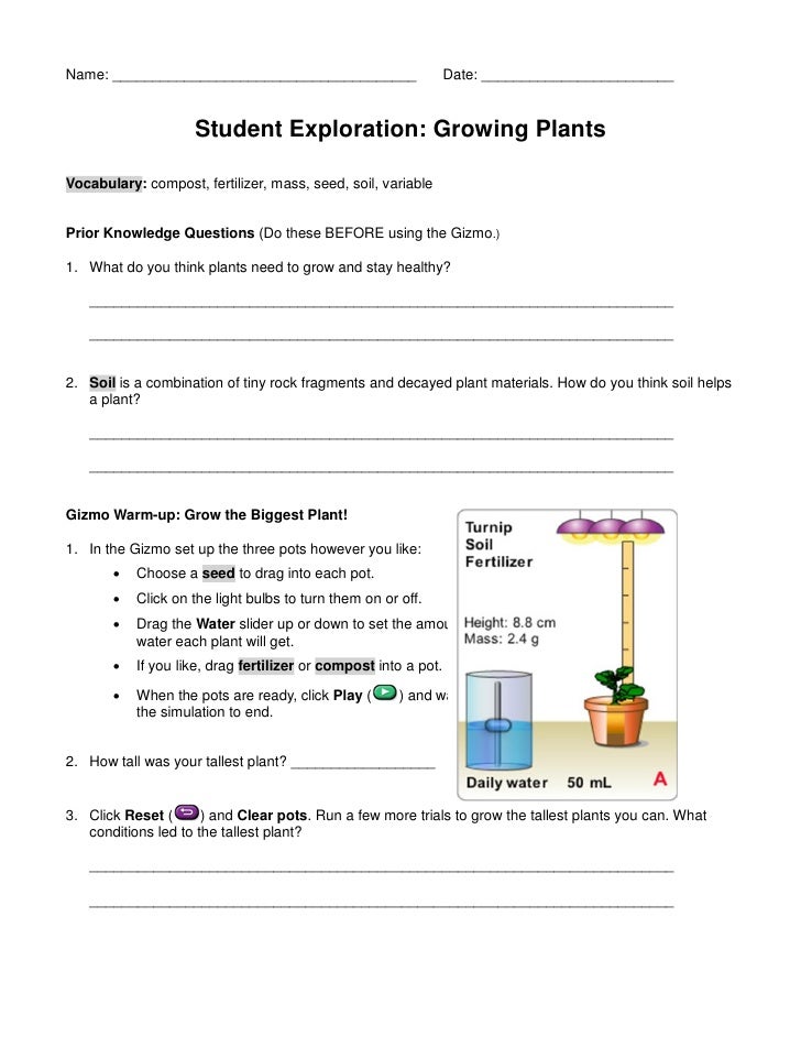 Designing a school garden knowledge handouts and notes