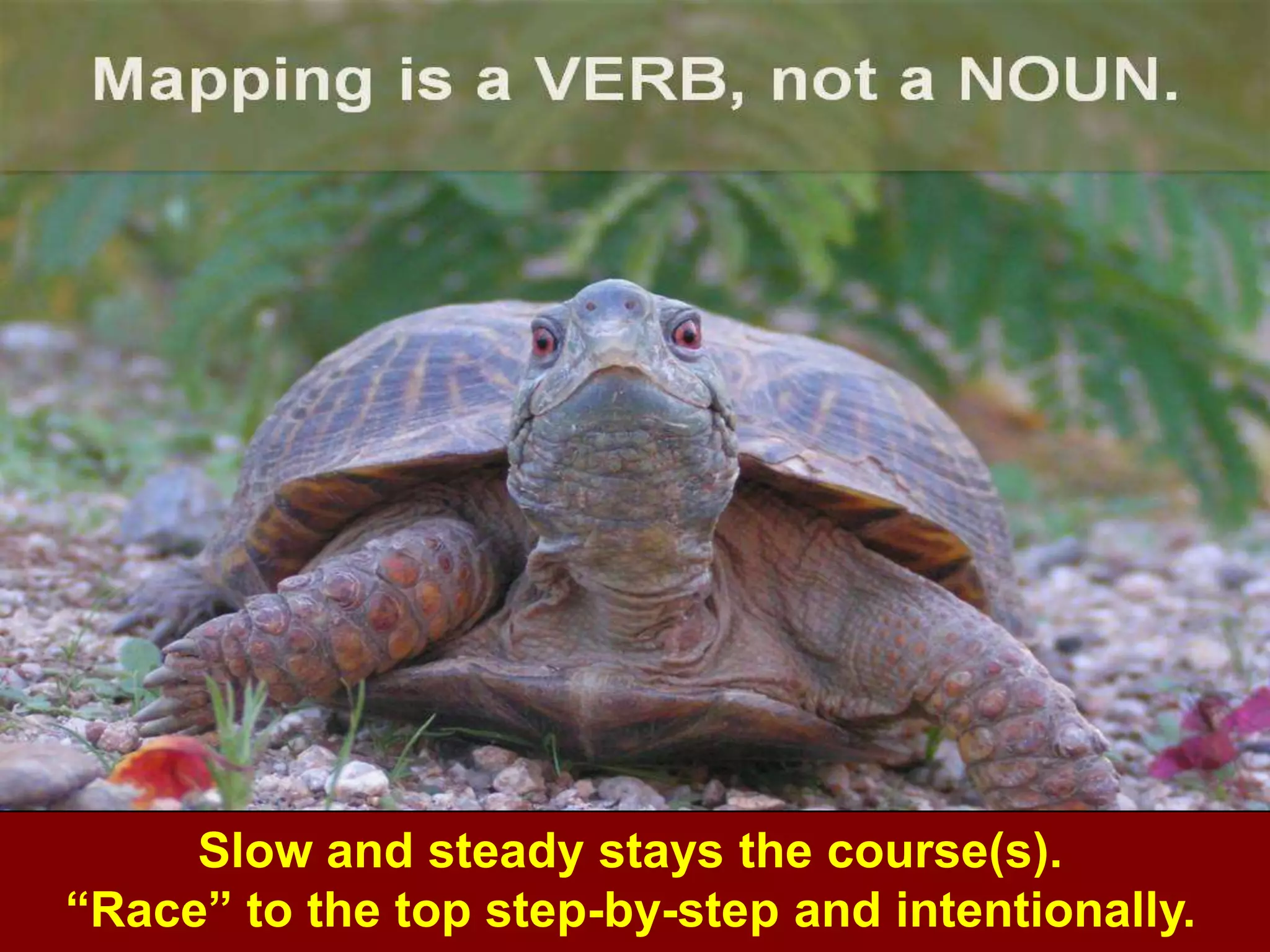 Slow and steady stays the course(s).
“Race” to the top step-by-step and intentionally.
 