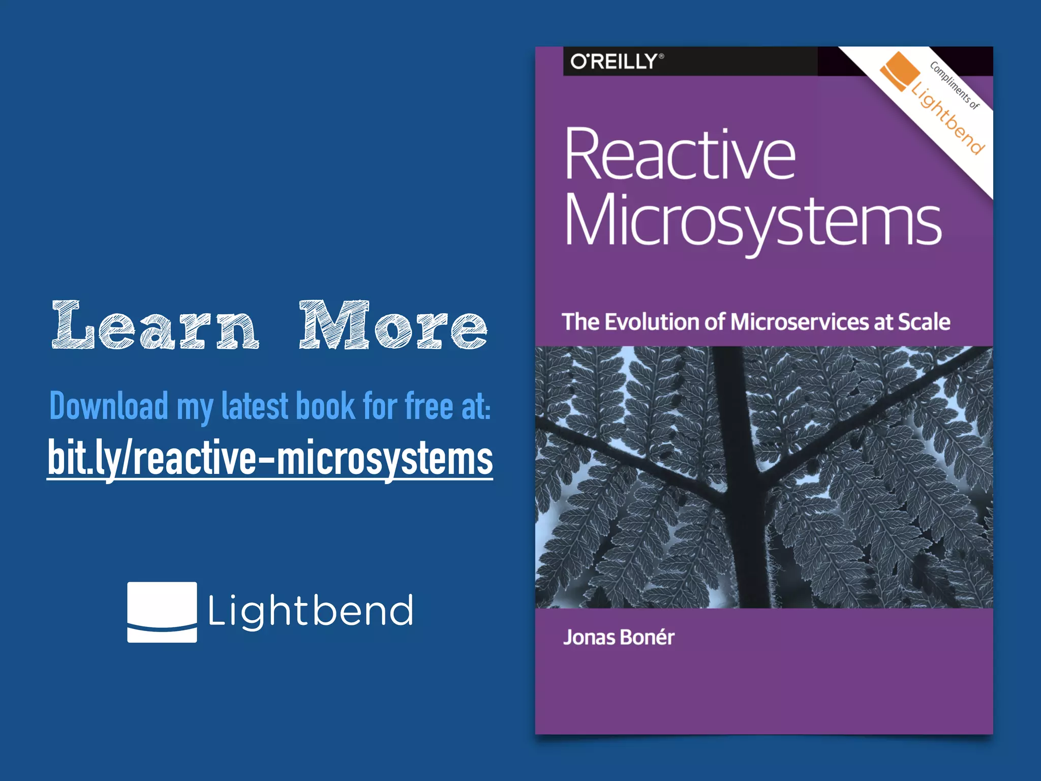 Learn More
Download my latest book for free at:
bit.ly/reactive-microsystems
 