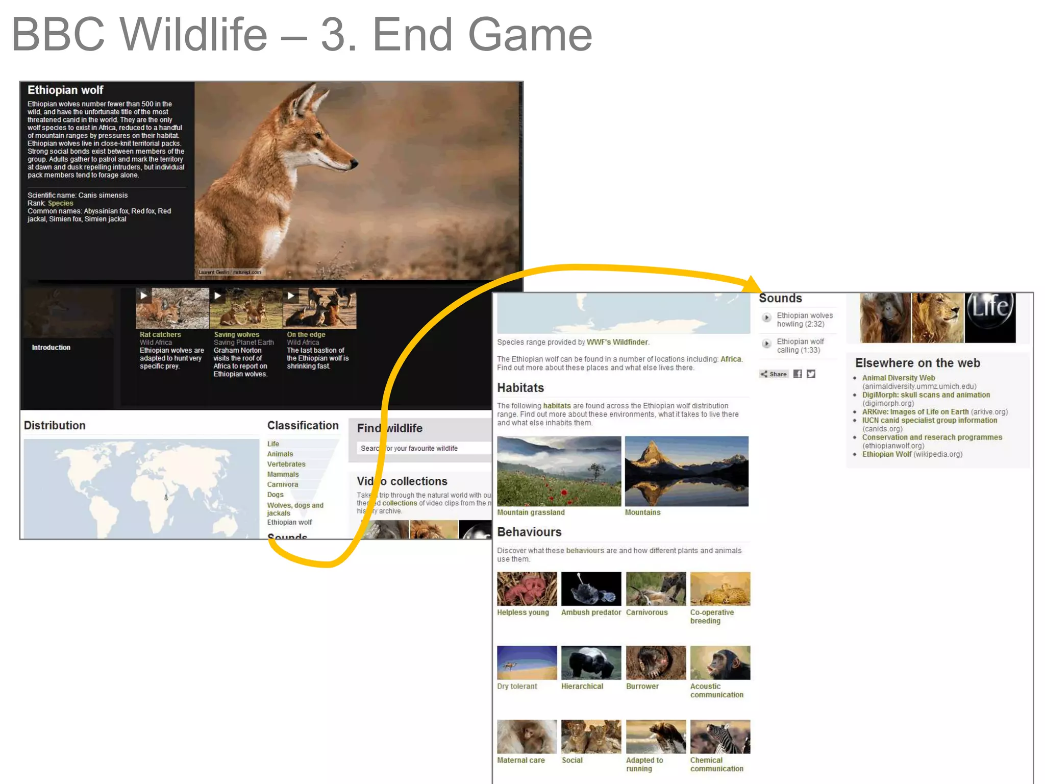 BBC Wildlife – 3. End Game




                             29
 