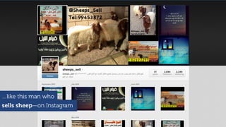 …like this man who
sells sheep—on Instagram
 