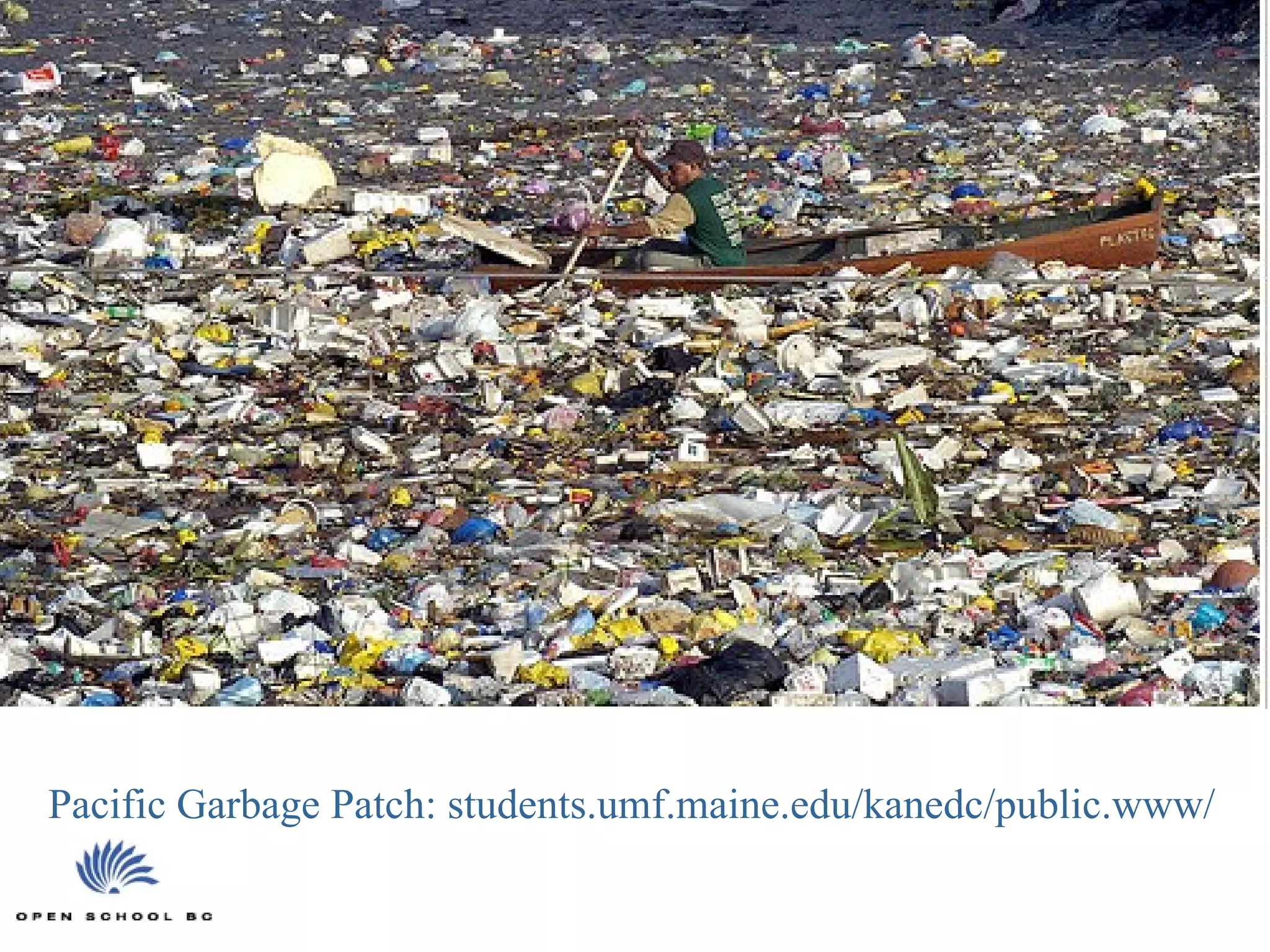 Pacific Garbage Patch:  students.umf.maine.edu/kanedc/public.www/   
