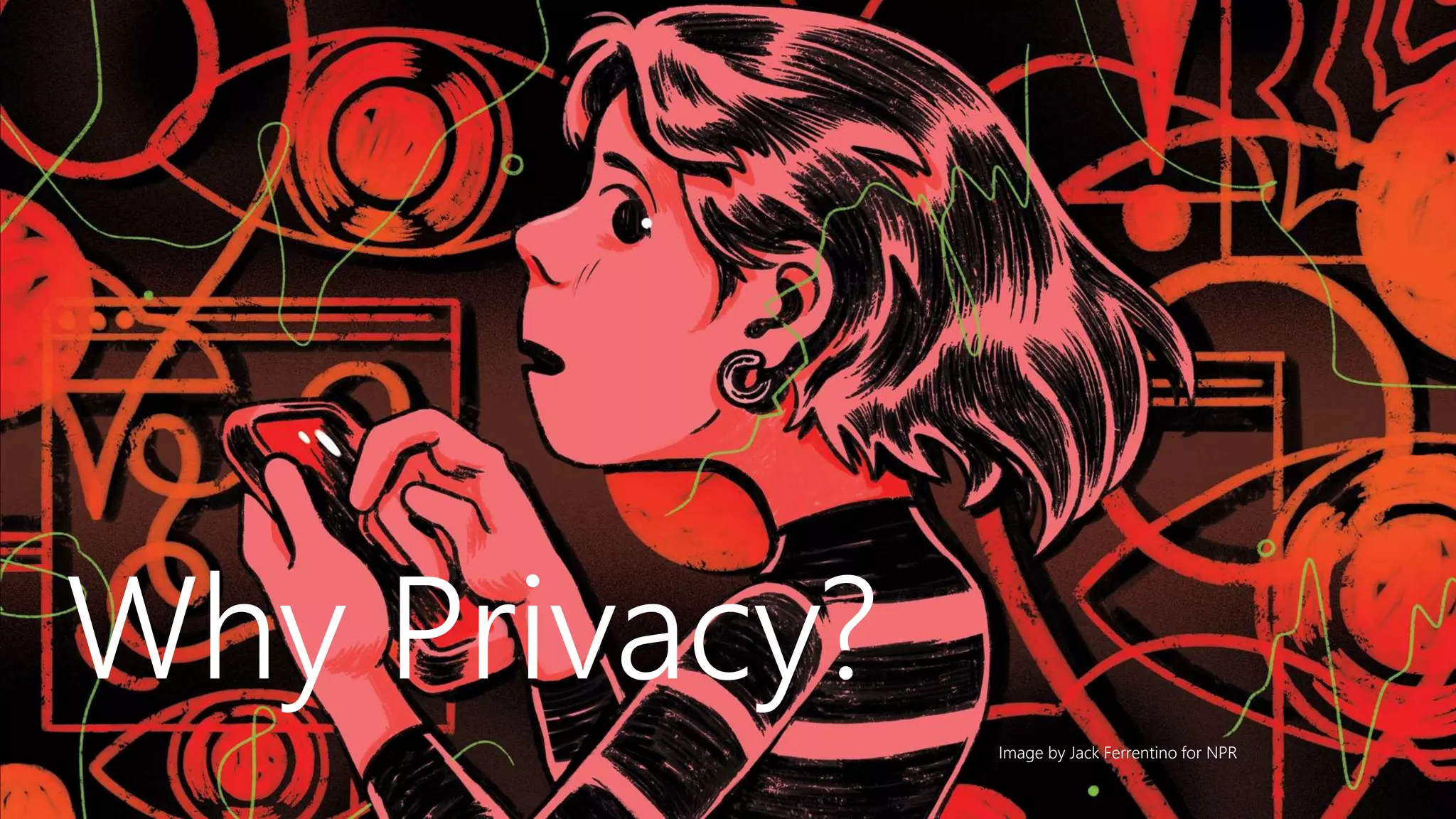 Why Privacy?
Image by Jack Ferrentino for NPR
 