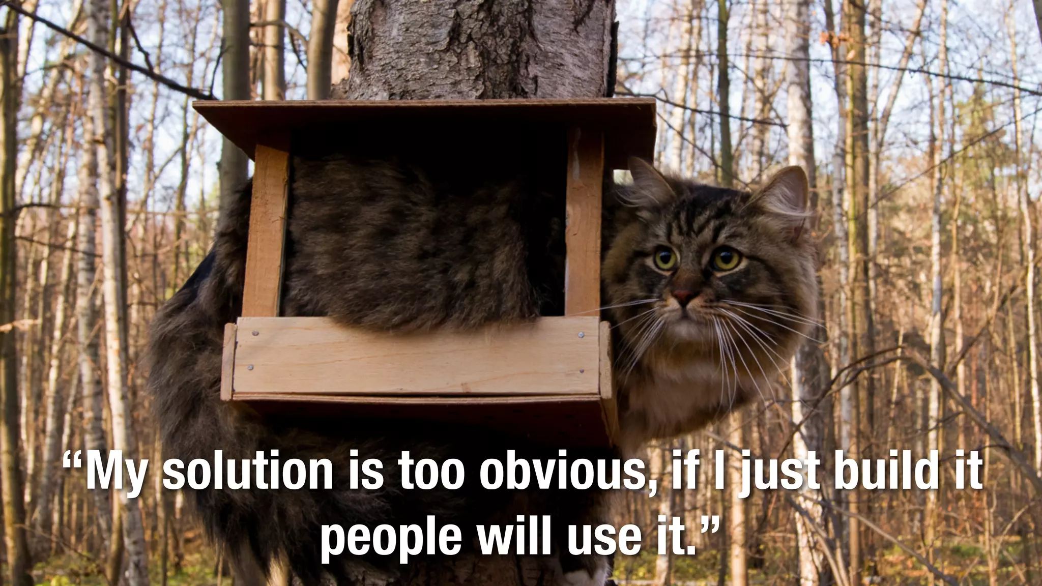 @lissijean
“My solution is too obvious, if I just build it
people will use it.”
 