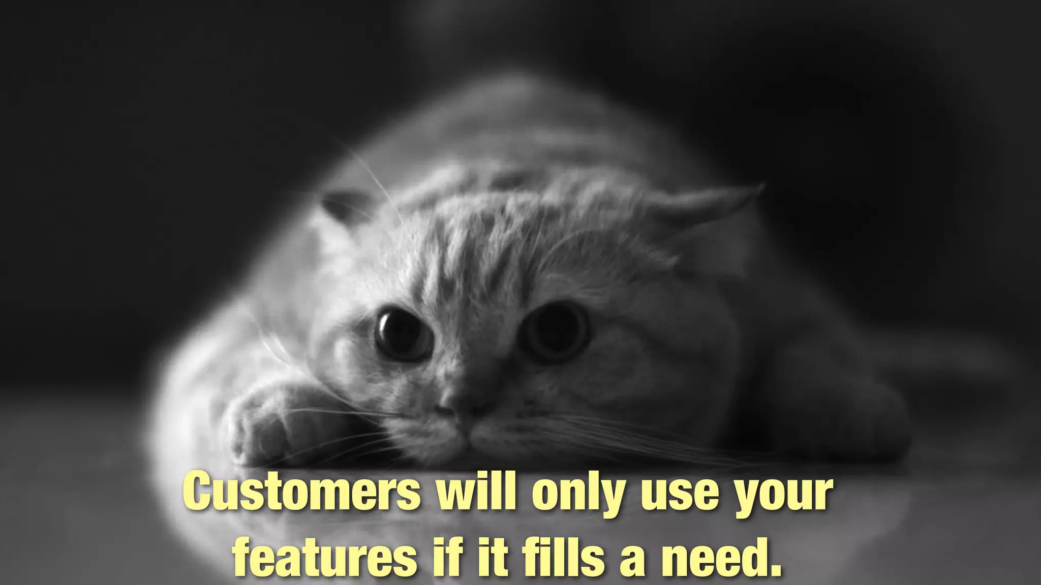 @lissijean
Customers will only use your
features if it ﬁlls a need.
Customers will only use your
features if it ﬁlls a need.
 