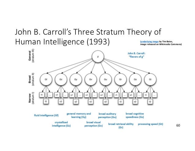 Designing Online Learning to Actual Human Capabilities
