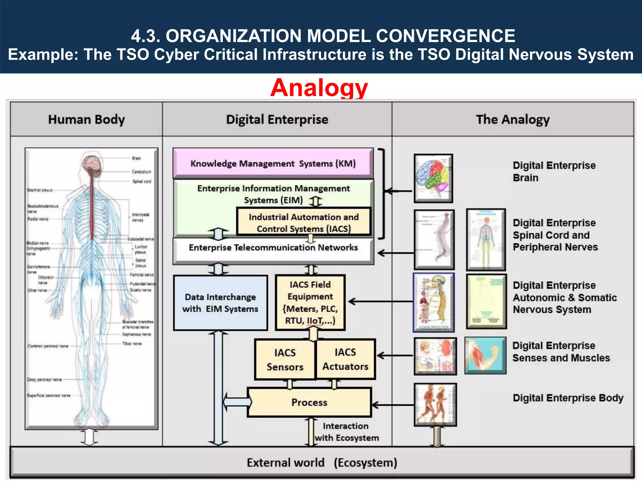 Designing Next Generation IACS System Architecture Across Large Scale Critical Infrastructure
Slide 42
Analogy
Enterprise Information Systems
Cyber Control Systems
Telecommunications Network
External world
Corporate IT
Systems Data
Input &
reporting
Field Equipment:
Meters, SCS, PLC,
RTU, DCS, etc
Actuators (Relays
/ Tap Changers)
Process
Sensors
(CT/VT)
Spinal cord &
peripheral
Nerves
Human
Senses
Muscles
4.3. ORGANIZATION MODEL CONVERGENCE
Example: The TSO Cyber Critical Infrastructure is the TSO Digital Nervous System
Autonomic &
Somatic
Nervous
System
Brain
 