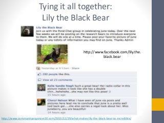 Tying it all together:
Lily the Black Bear
http://www.facebook.com/lily.the.
black.bear
http://www.communityorganizer20.co...