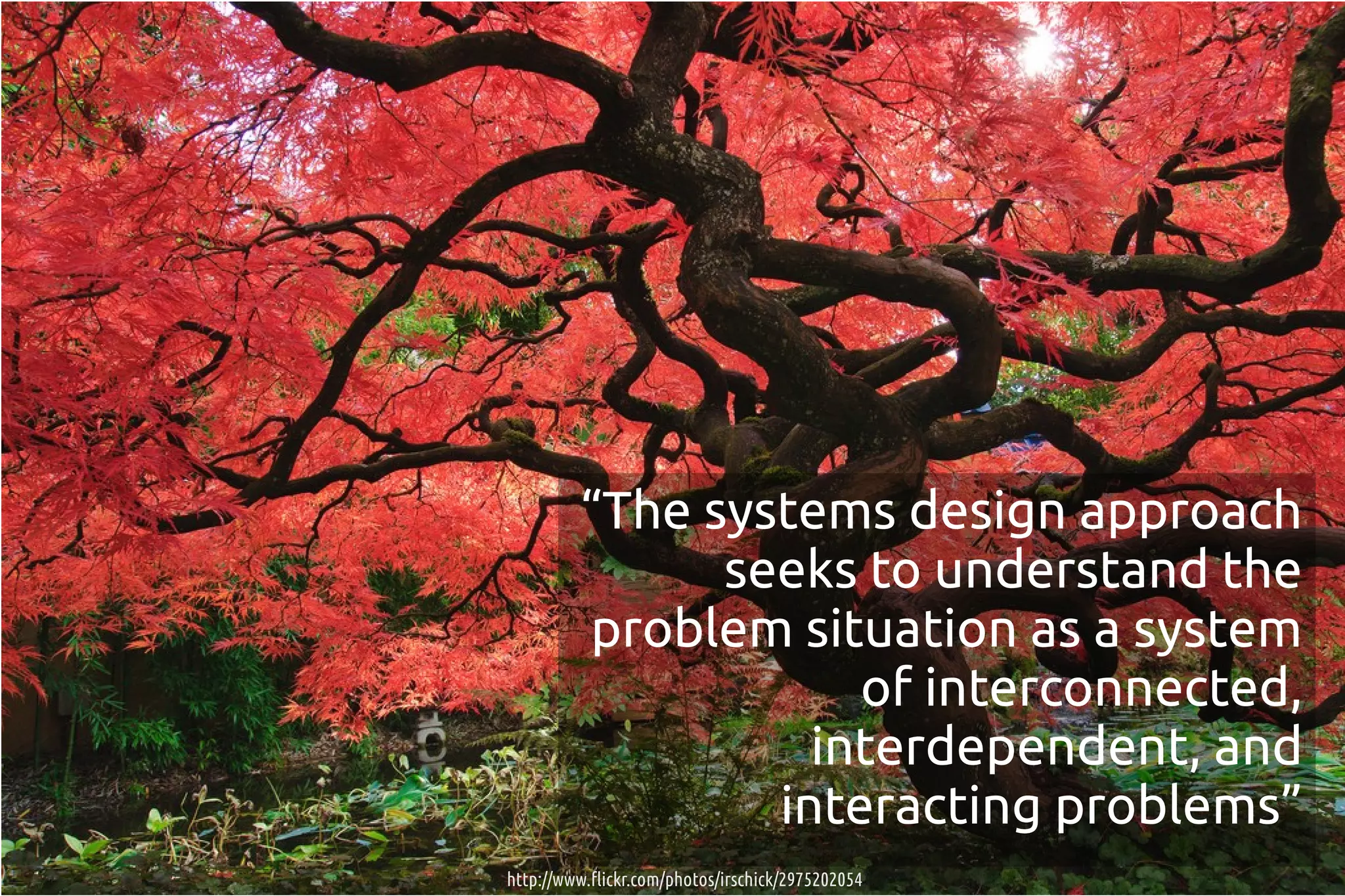 “The systems design approach
               seeks to understand the
         problem situation as a system
                     of interconnected,
                   interdependent, and
                 interacting problems”
http://www.flickr.com/photos/irschick/2975202054
 