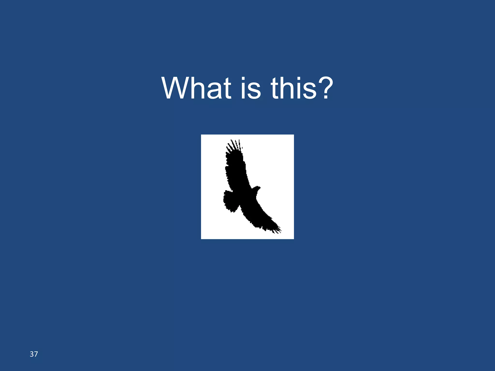 What is this?




37
 