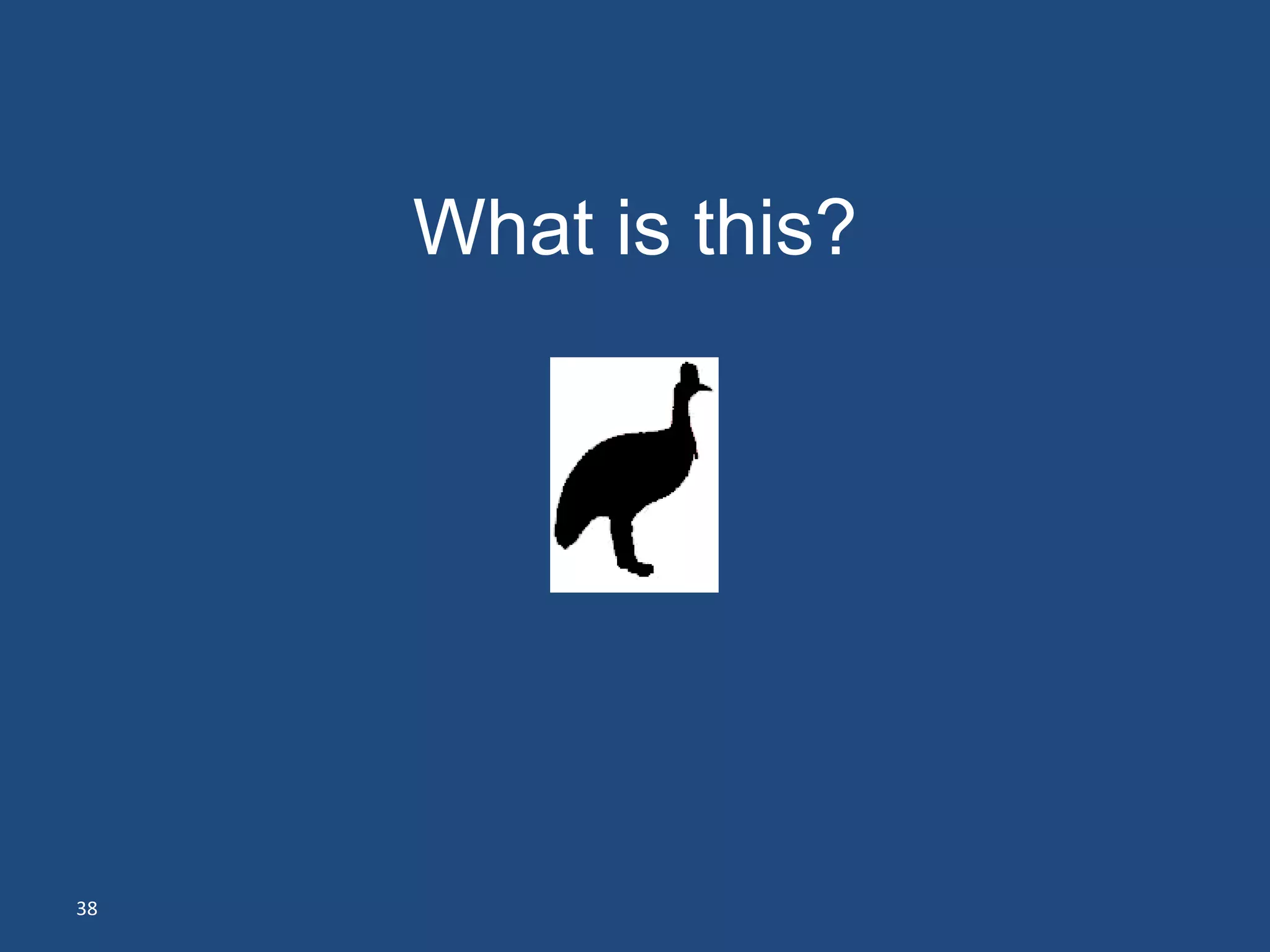 What is this?




38
 