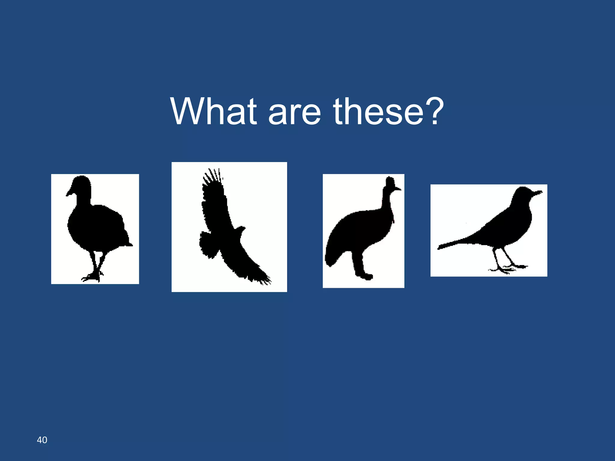 What are these?




40
 