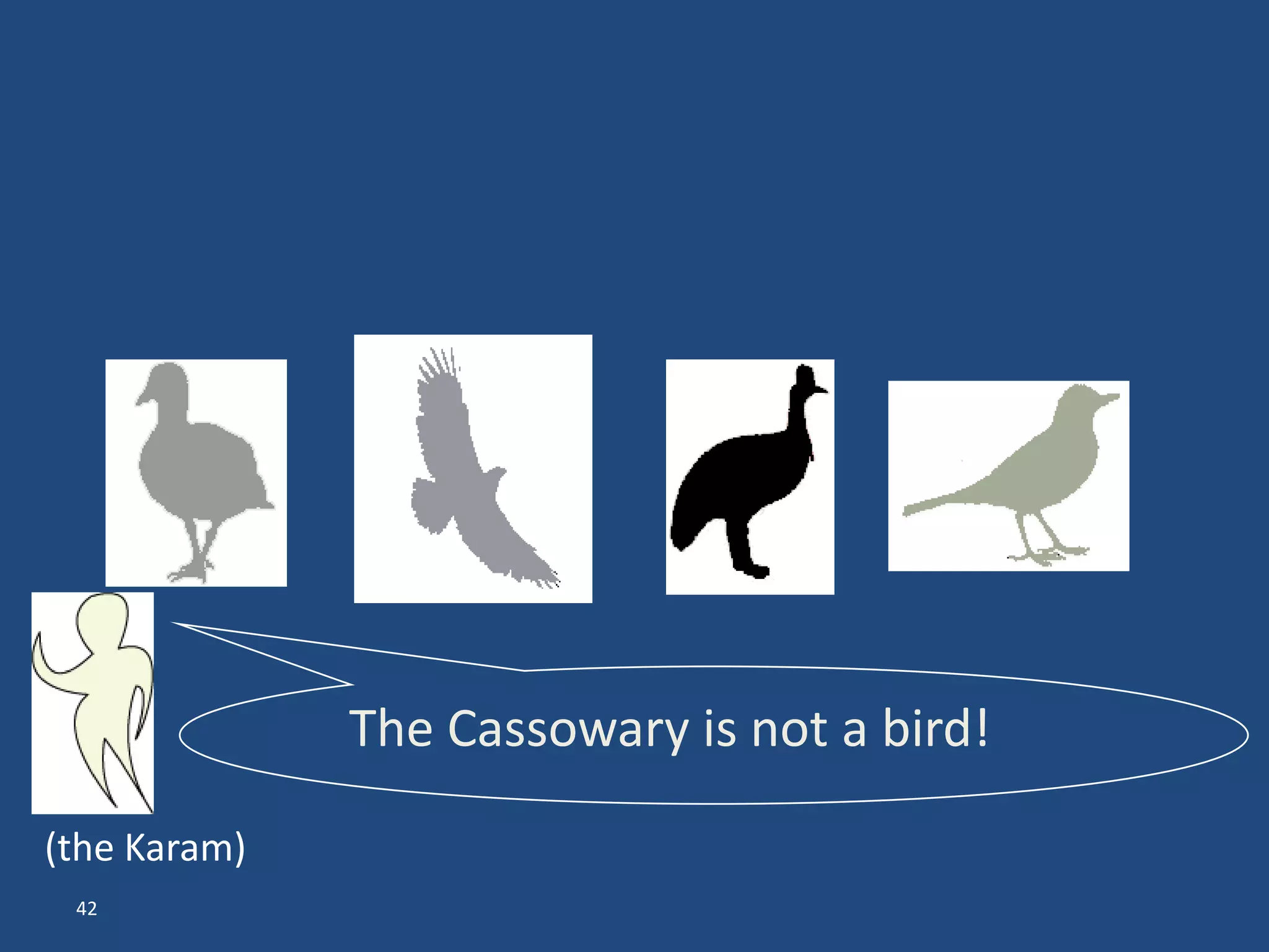 The Cassowary is not a bird!

(the Karam)
 42
 