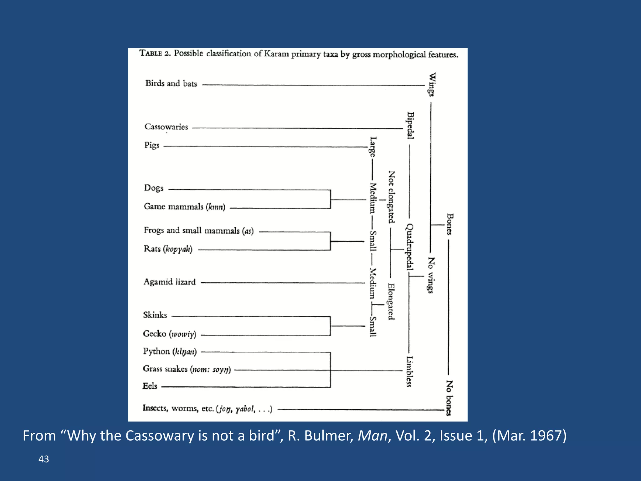 From “Why the Cassowary is not a bird”, R. Bulmer, Man, Vol. 2, Issue 1, (Mar. 1967)
  43
 