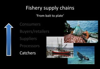 Designing sustainable fisheries