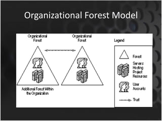 Organizational Forest Model
 