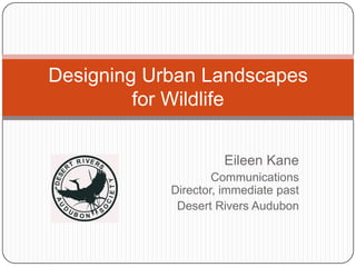 Eileen Kane
Communications
Director, immediate past
Desert Rivers Audubon
Designing Urban Landscapes
for Wildlife
 