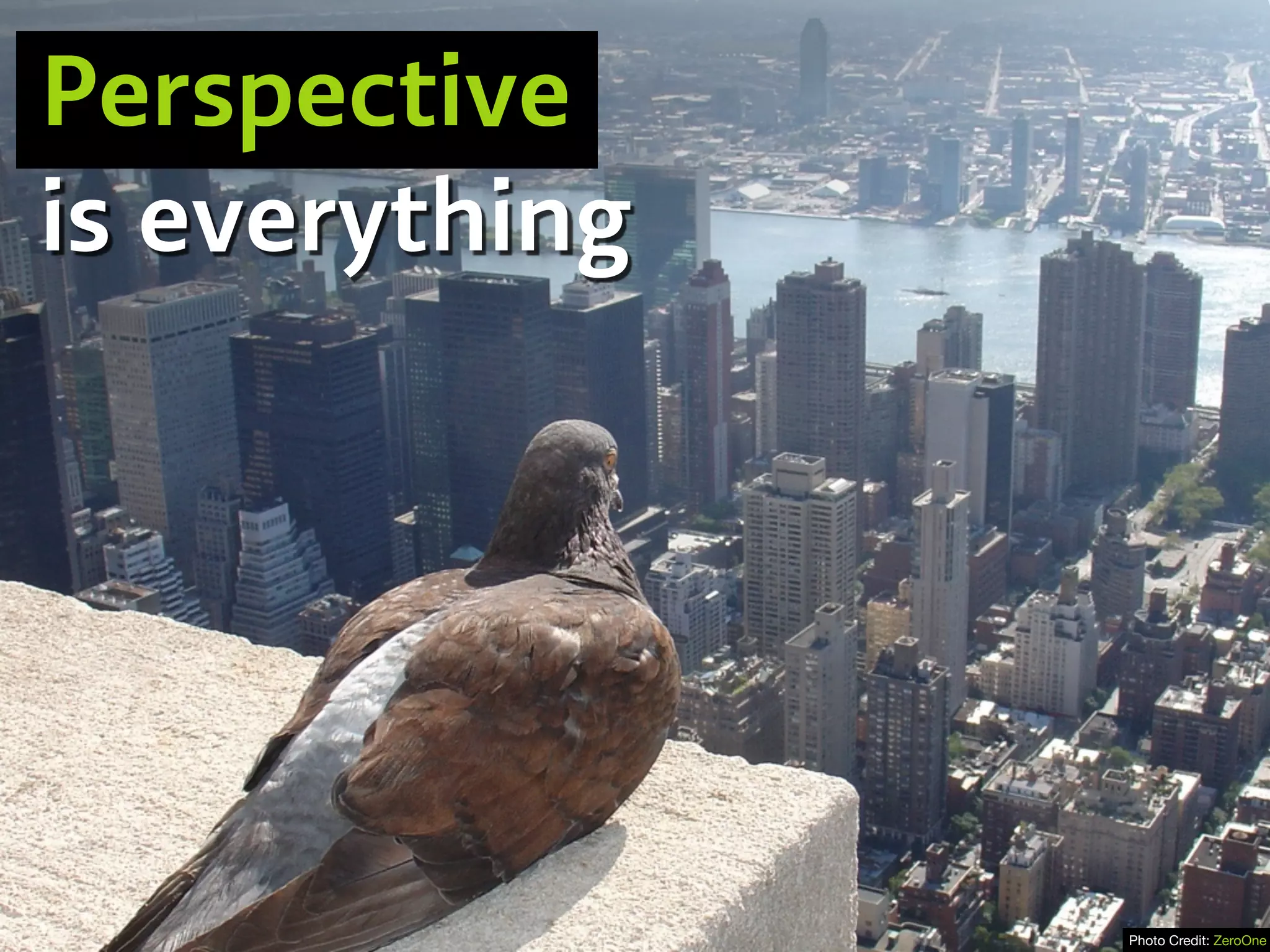 Perspective
is everything
Photo Credit: ZeroOne
 