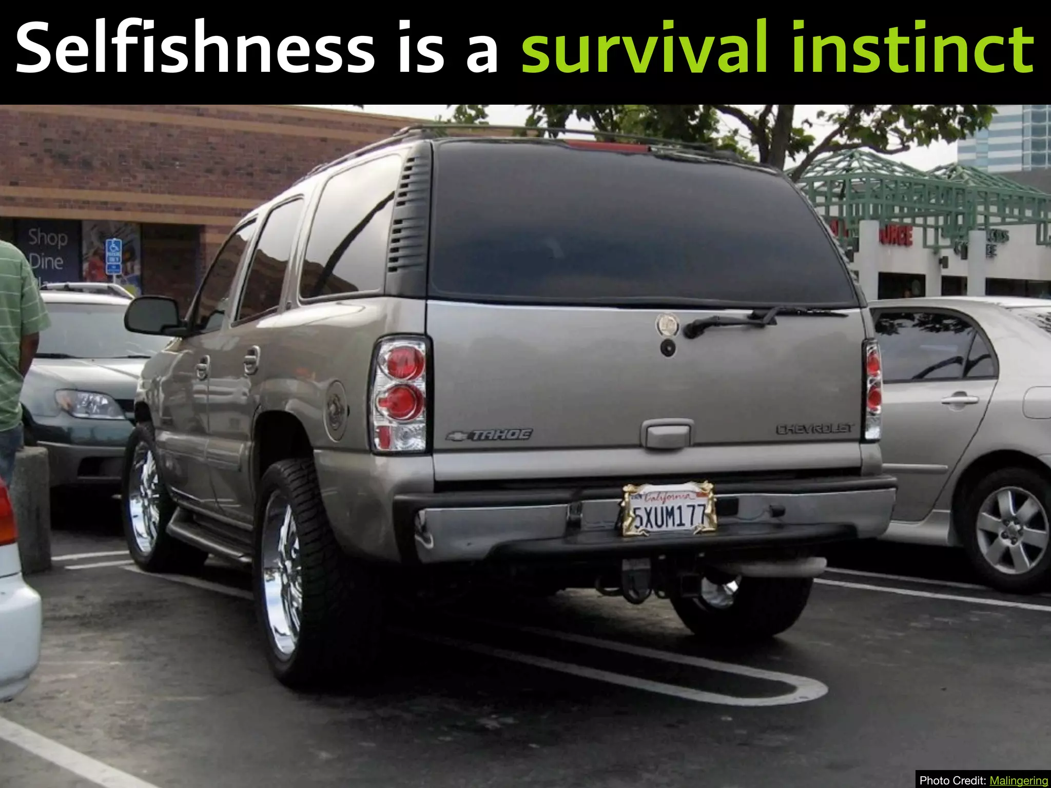 Selfishness is a survival instinct
Photo Credit: Malingering
 