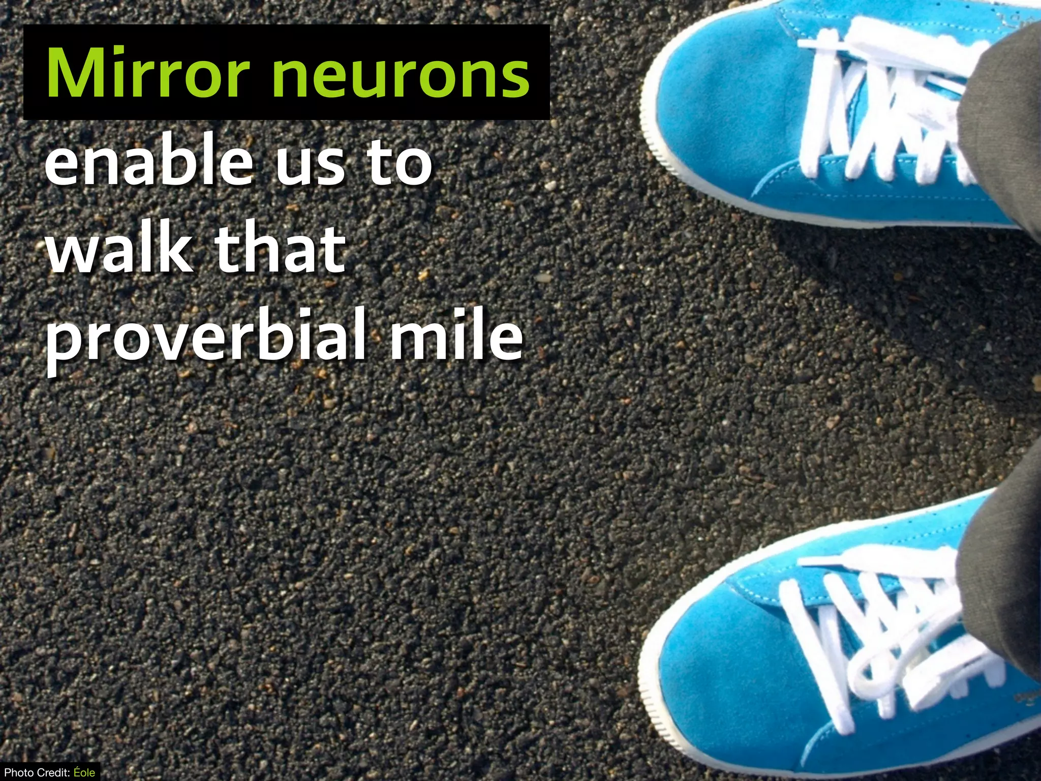 Photo Credit: Éole
Mirror neurons
enable us to
walk that
proverbial mile
 