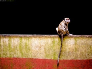 Photo Credit: Stuck in Customs
 