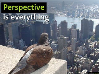 Perspective
is everything
Photo Credit: ZeroOne
 