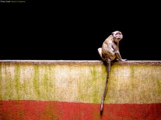 Photo Credit: Stuck in Customs
 