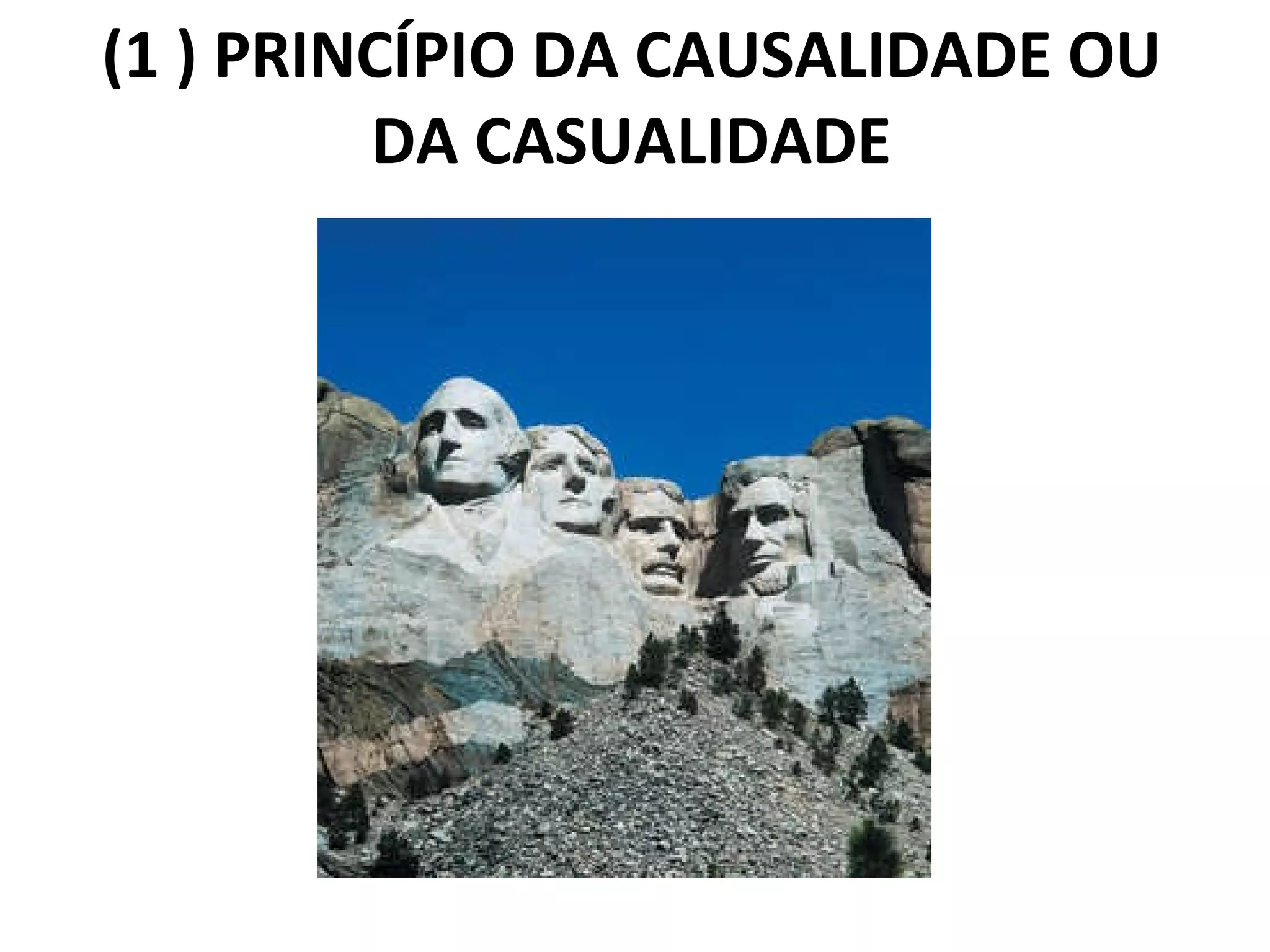 (1 ) PRINCÍPIO DA CAUSALIDADE OU DA CASUALIDADE 