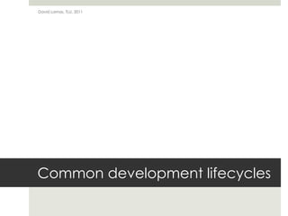Common development lifecyclesDavid Lamas, TLU, 2011