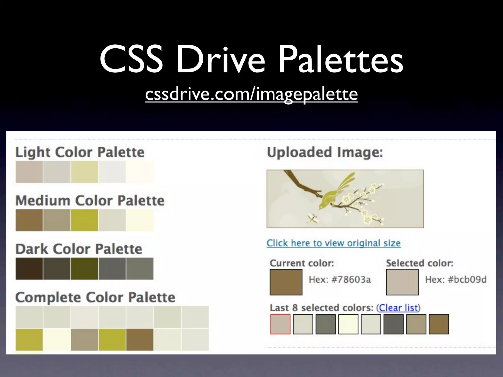CSS Drive Palettes
  cssdrive.com/imagepalette
 