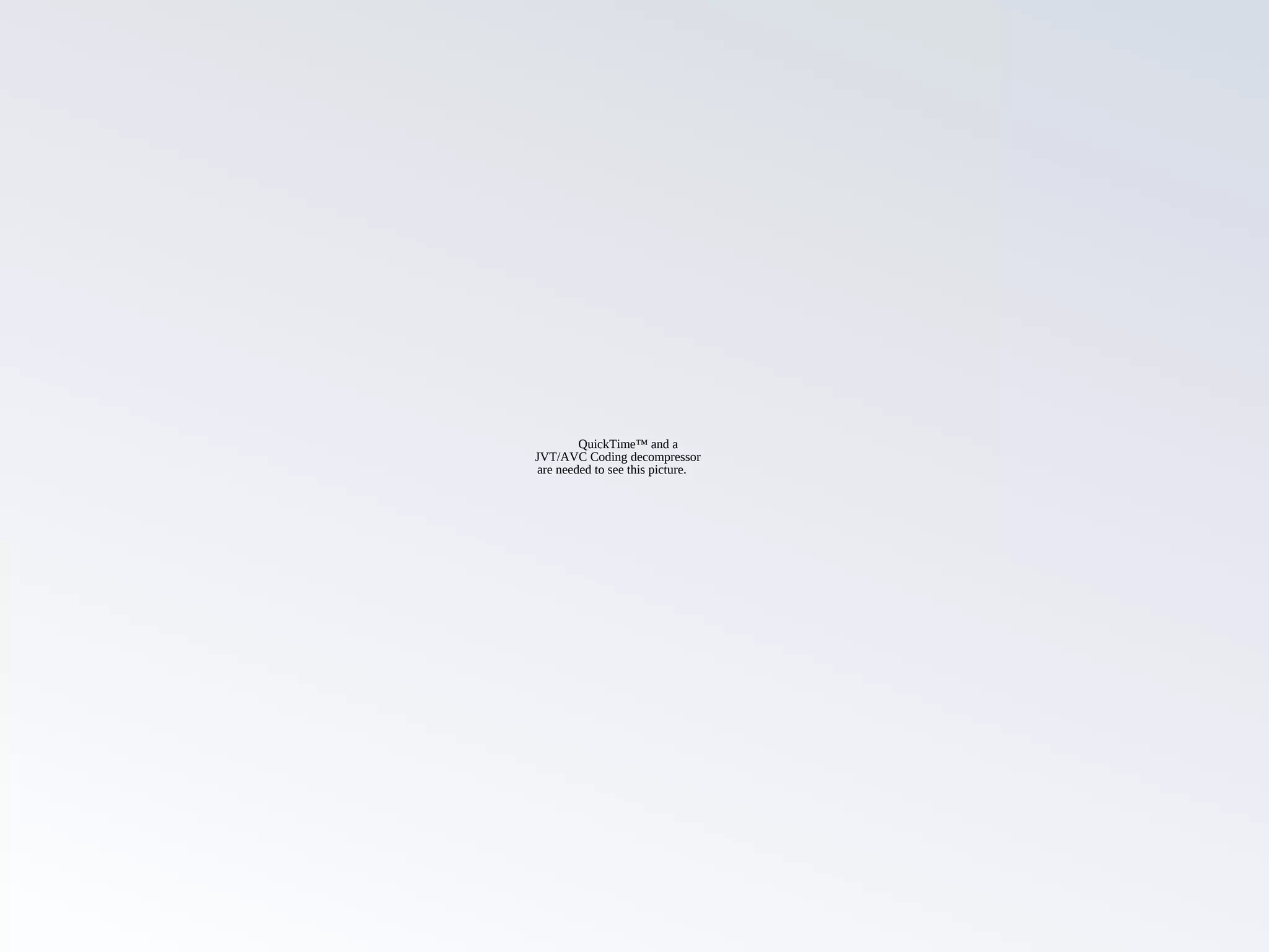 QuickTime™ and a
JVT/AVC Coding decompressor
are needed to see this picture.
 