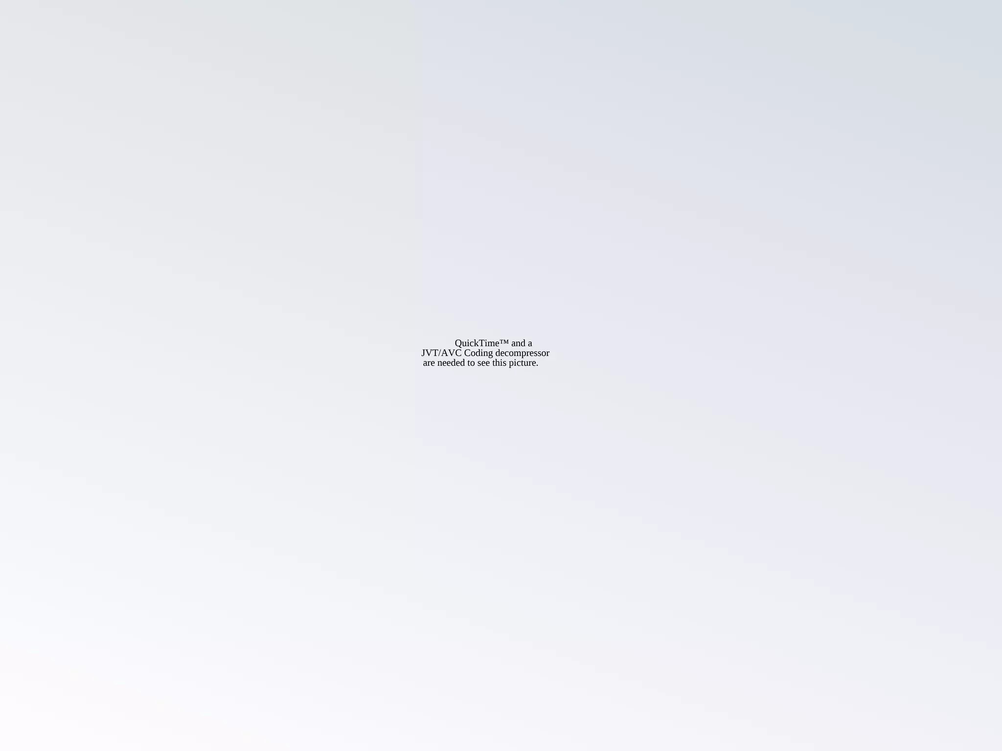 QuickTime™ and a
JVT/AVC Coding decompressor
are needed to see this picture.
 