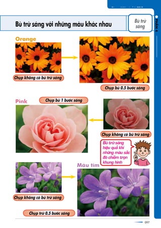Buâ trûâ saáng vúái nhûäng maâu khaác nhau
097
Chuåp buâ 0.5 bûúác saáng
Chuåp buâ 1 bûúác saáng
Chuåp trûâ 0.5 bûúác saáng
Orange
Maâu tñm
Pink
Chuåp khöng coá buâ trûâ saáng
RLSDhnãayáamiáúV!iuvgnâuC
PHÊÌN4
Buâ trûâ
saáng
Chuåp khöng coá buâ trûâ saáng
Chuåp khöng coá buâ trûâ saáng
Buâ trûâ saáng
hiïåu quaã khi
nhûäng maâu sùæc
àoá chiïëm troån
khung hònh
 