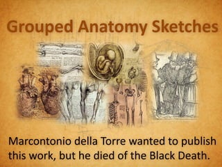 Grouped Anatomy Sketches




Marcontonio della Torre wanted to publish
this work, but he died of the Black Death.
 