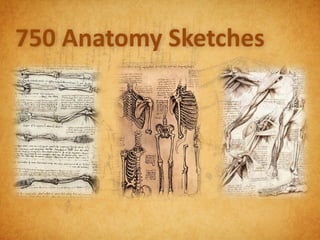 750 Anatomy Sketches
 