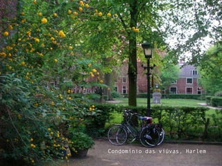 Condomínio das viúvas, Harlem
 