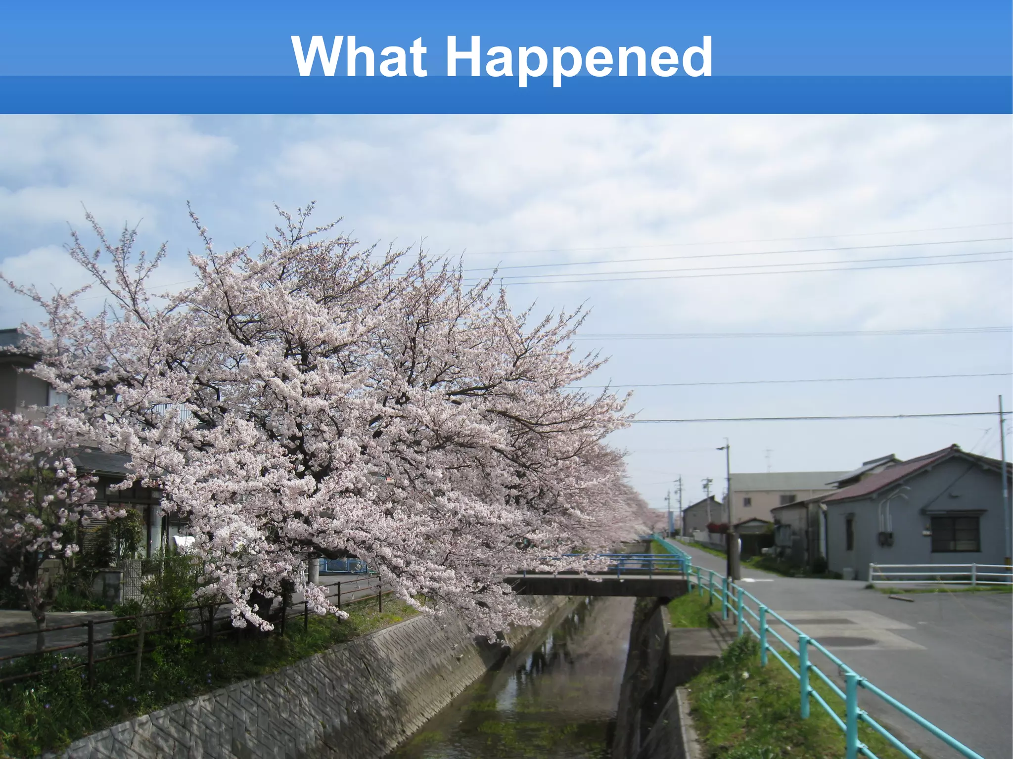 What Happened D:\Dropbox\My Dropbox\Photos\Sakura Season 2010\IMG_0348.JPG 