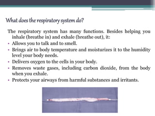 Design of artificial respiratory model | PPTX