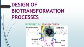 DESIGN OF
BIOTRANSFORMATION
PROCESSES
PRESENTED BY- ANKUSH DUBEY
 