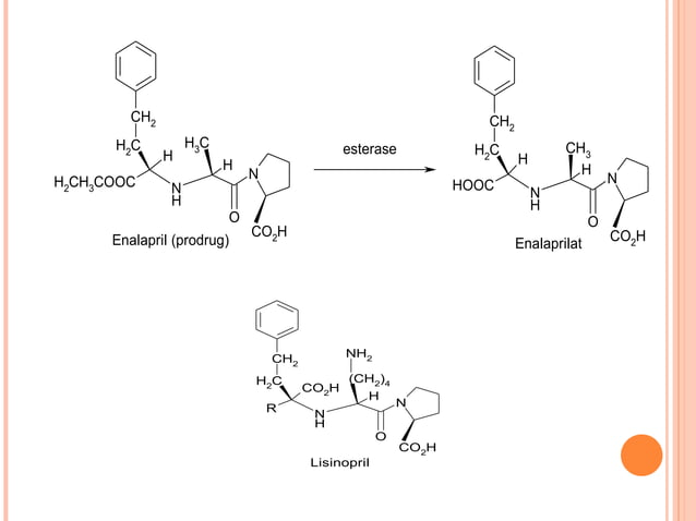 Design of enzyme inhibitors as drugs | PPT