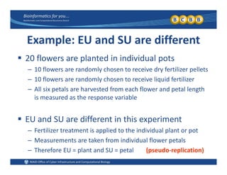 Example: EU and SU are different
 20 flowers are planted in individual pots
– 10 flowers are randomly chosen to receive dry fertilizer pellets
– 10 flowers are randomly chosen to receive liquid fertilizer
– All six petals are harvested from each flower and petal length 
is measured as the response variableis measured as the response variable  
 EU and SU are different in this experimentEU and SU are different in this experiment
– Fertilizer treatment is applied to the individual plant or pot
– Measurements are taken from individual flower petalsp
– Therefore EU = plant and SU = petal        (pseudo‐replication)
 
