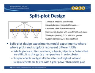 Split‐plot Design
12 mice: 6 infected, 6 uninfected
3 infected males, 3 infected females, …
4 samples taken from each mouse
Each sample treated with one of 2 different drugsEach sample treated with one of 2 different drugs
Whole plot (mouse) EU’s: Infection, gender
Subplot (sample) EU’s: drug treatment
 Split‐plot design experiments model experiments where 
whole plots and subplots represent different EUs
h l l f l b b f h– Whole plots are often locations, subjects, objects or factors that 
are difficult to change (e.g. temperature in an incubator)
– Subplot effects are typically the effects of highest interestp yp y g
– Subplot effects are tested with higher power than whole plot
 
