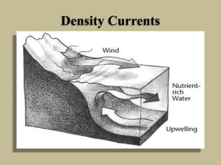 Density Currents

 