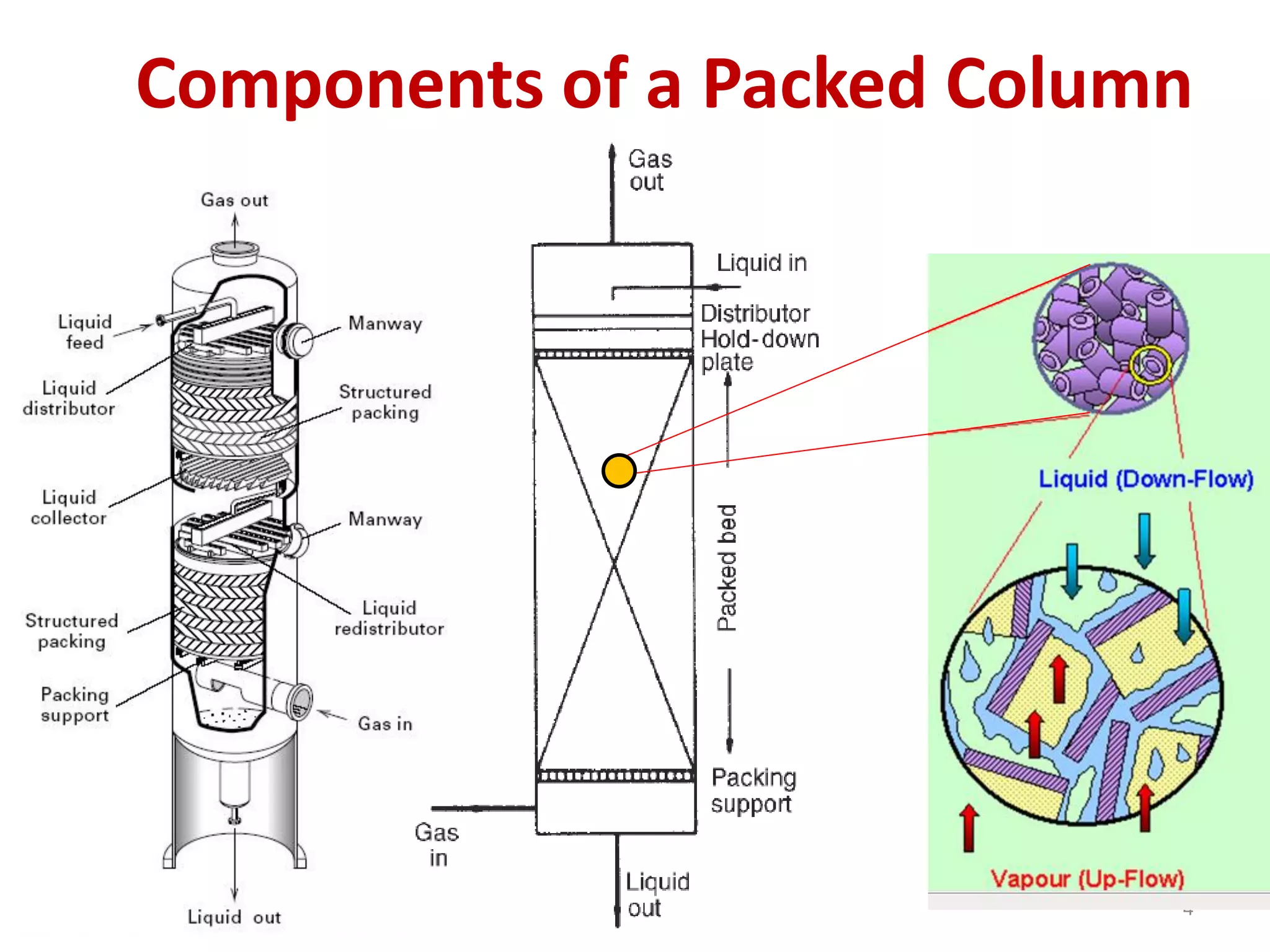 Components of a Packed Column
4
 