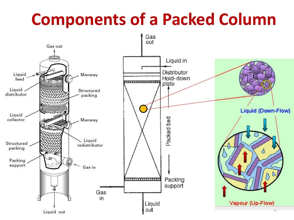 Design of packed columns