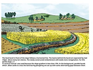 Design of SWC.pptx department of soil resource and watershed management ...