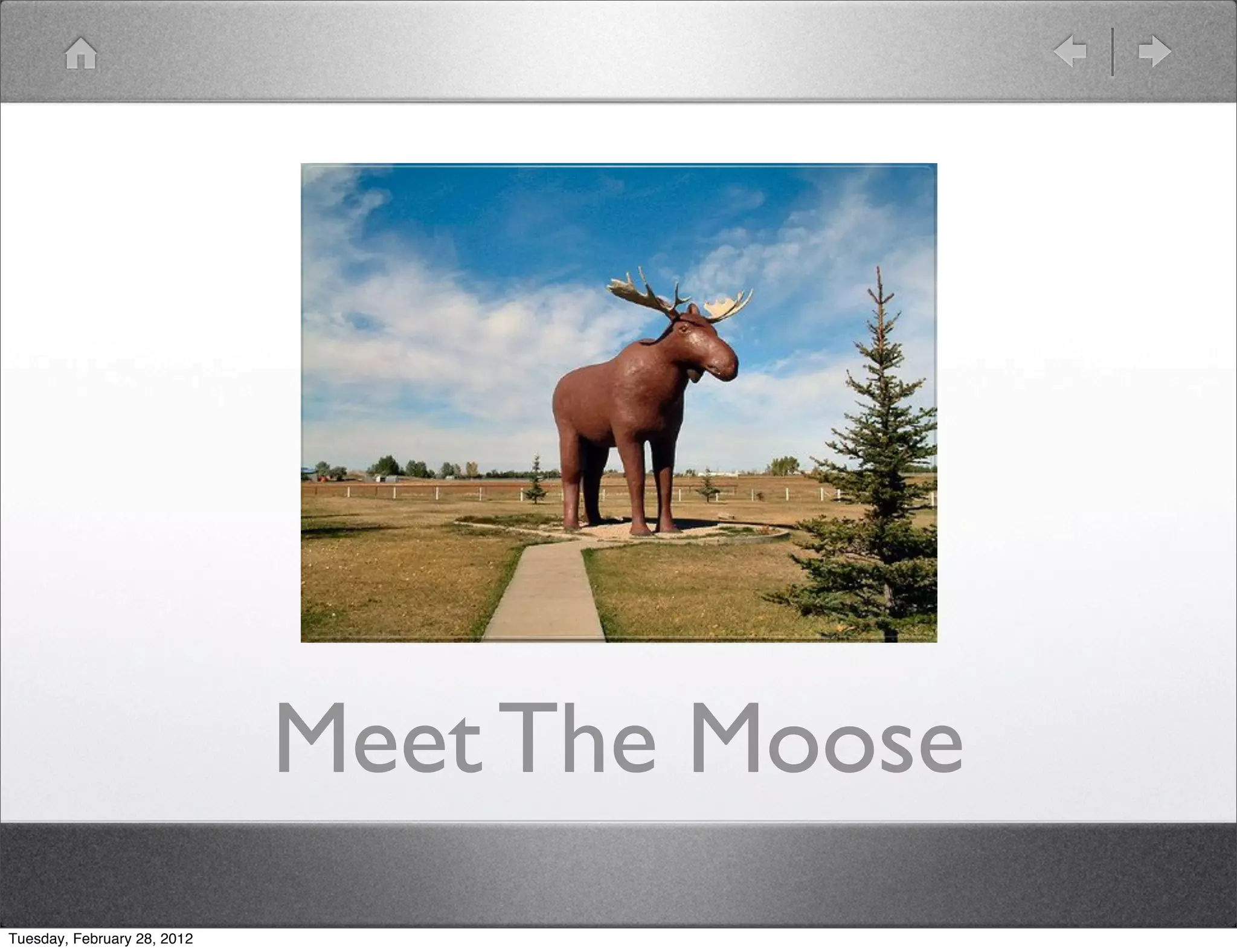 Meet The Moose
Tuesday, February 28, 2012
 